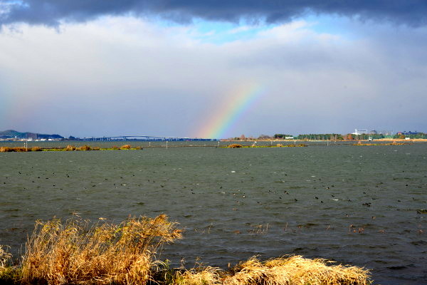 びわ湖の虹