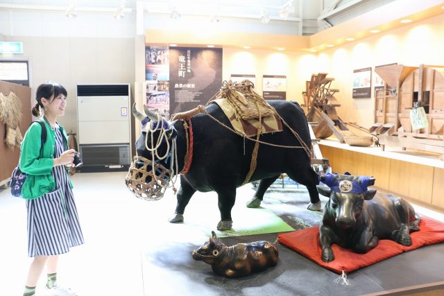 近江牛の展示