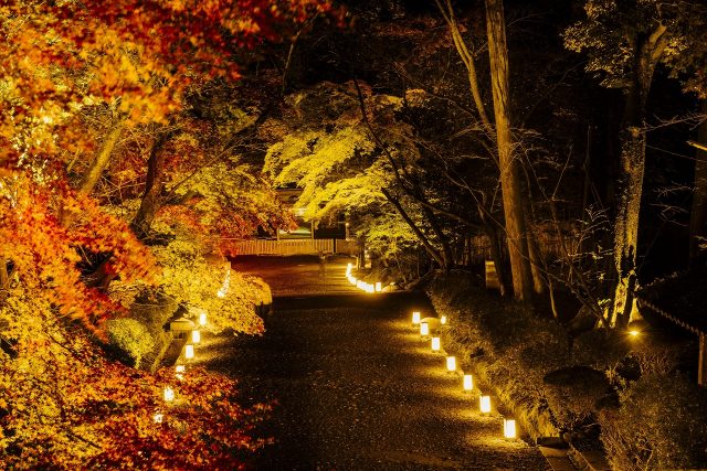 三井寺ライトアップイメージ