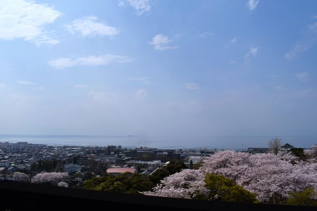 天守閣からの景色琵琶湖側