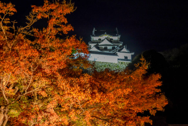 彦根城と紅葉