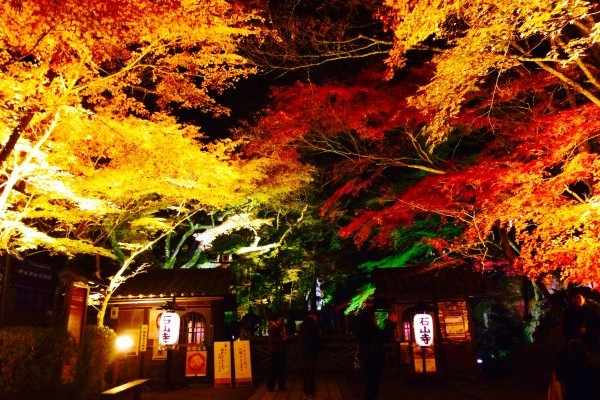 滋賀各地の紅葉ライトアップは今週末が見頃 幻想的な世界が広がります しがトコ