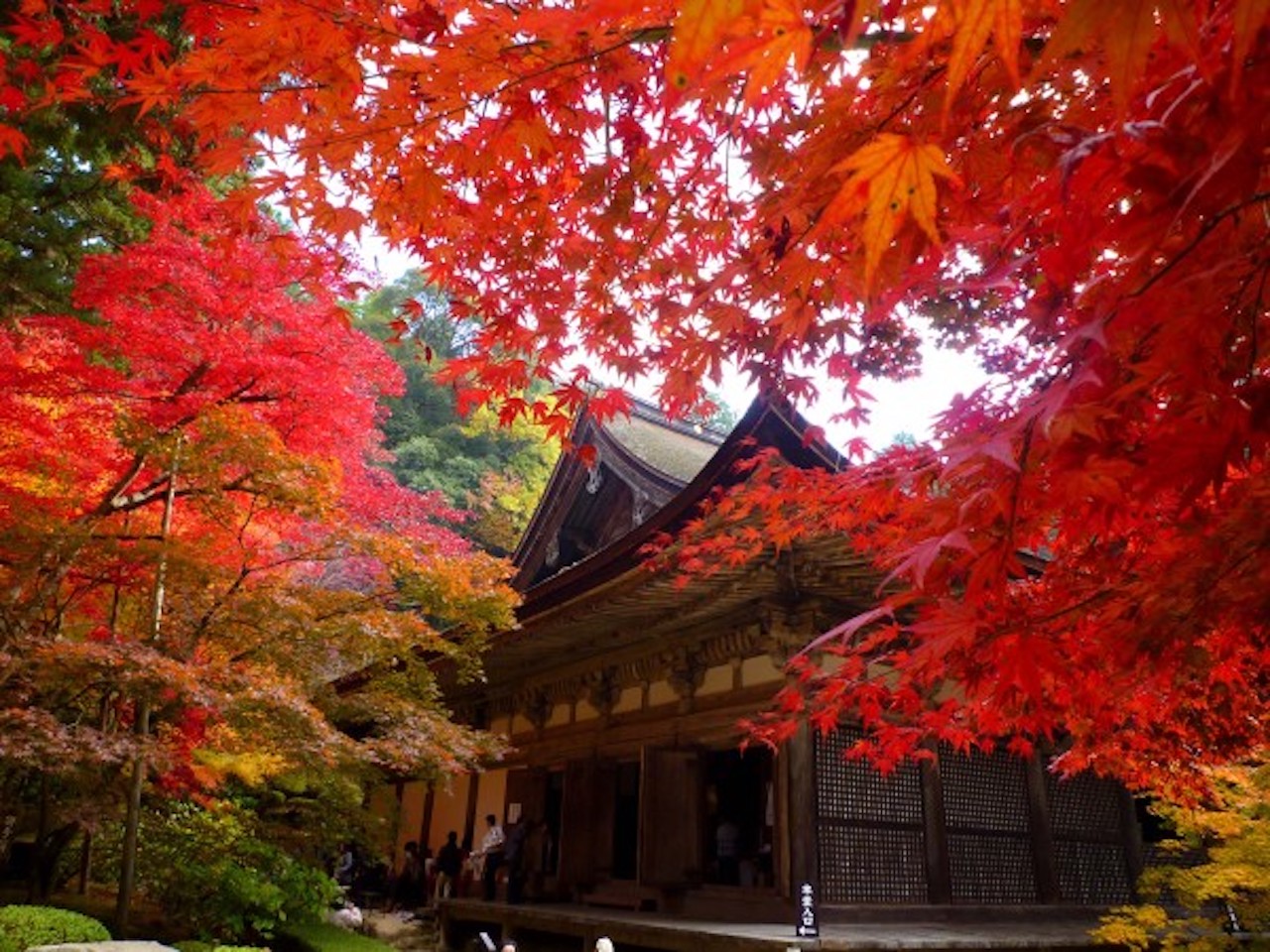 紅葉シーズン到来 歴史的名所から地元の穴場まで 滋賀県各地の絶景スポットをご紹介 しがトコ