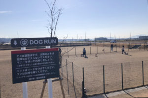 ドッグラン