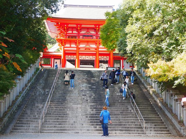 近江神宮階段