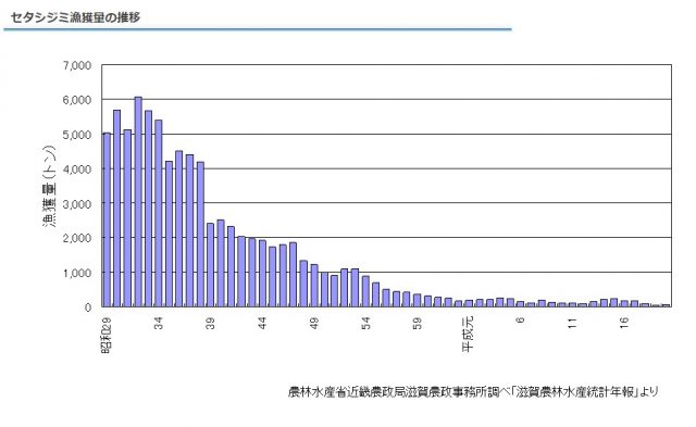 シジミ収穫量グラフ