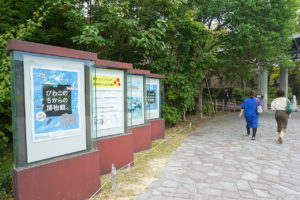 琵琶湖博物館アプローチ