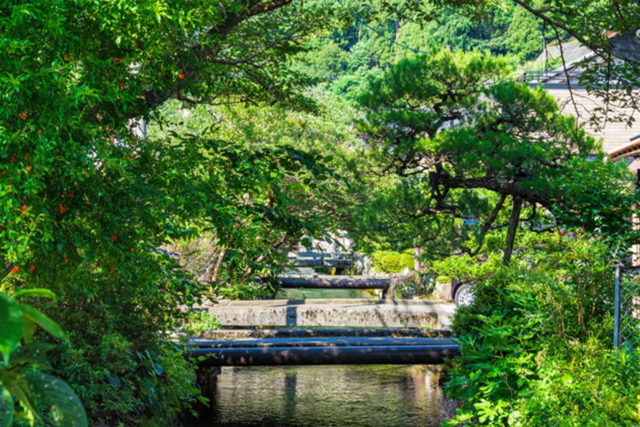 醒井宿地蔵川の写真
