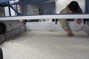発酵機温度