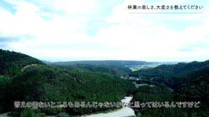 高島の上空からの映像