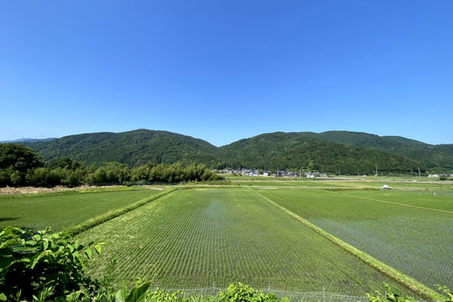 高島の田園風景