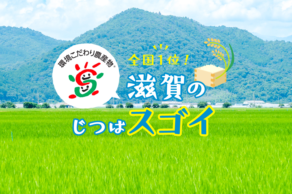 2019年産環境こだわり米 令和7年産】滋賀県産みずかがみ 環境こだわり米 10kg(5kg×2): 近江の