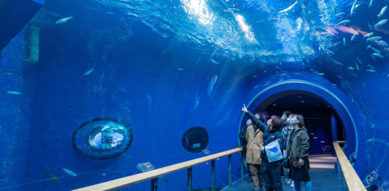 琵琶湖博物館水槽トンネル