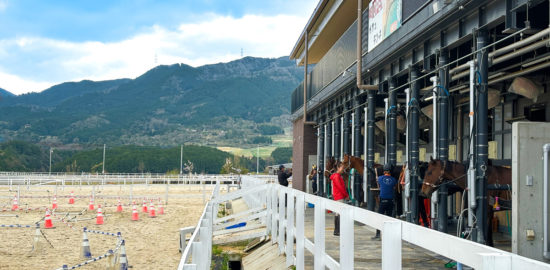 カフェバグース