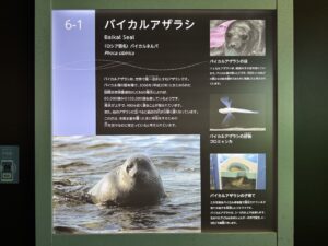 パネル