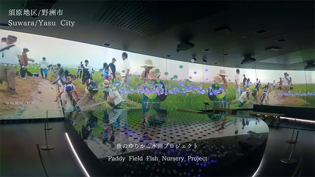 魚のゆりかご水田プロジェクト