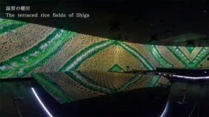 棚田