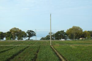 ファースト琵琶湖