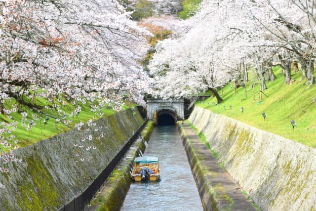 琵琶湖疏水が国宝に