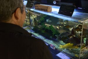 水槽を見つめる向田さん