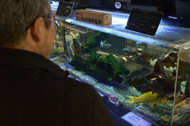 水槽を見つめる向田さん