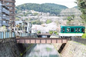 桜と京阪