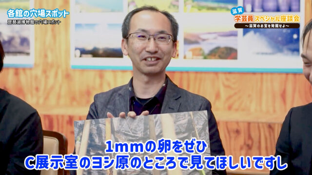 びわ博展示のこだわり