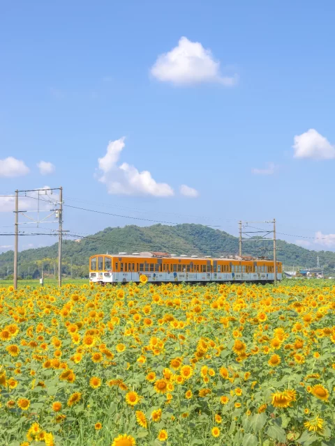 sakixx1027