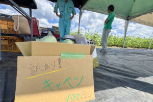 野菜箱売り