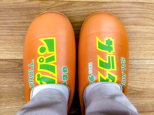 サラダパンノクツを履いてみた