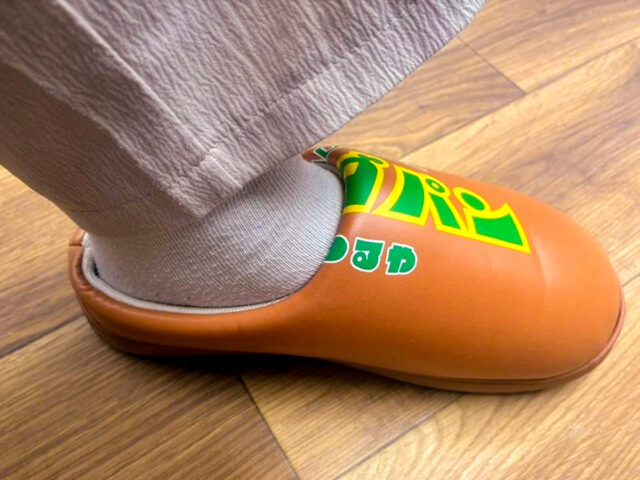 サラダパンノクツを履いてみる